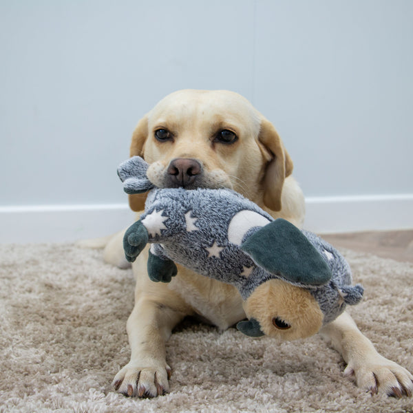 Ancol Cuddle Glow in the Dark Owl Toy