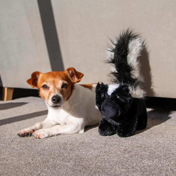 Ancol Cuddle Skunk Toy