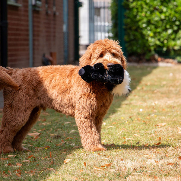 Ancol Cuddle Skunk Toy