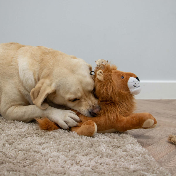 Ancol Cuddle King Leo the Lion Toy