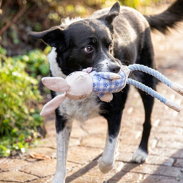 Rosewood Ralphie Rabbit Easter Dog Toy