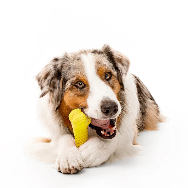 Playology Dual Layer Medium Bone - Chicken Scented