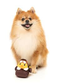 Fuzzyard Amelia Quackhart Dog Toy