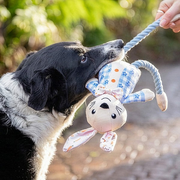Rosewood Ralphie Rabbit Easter Dog Toy