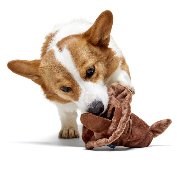 BARK - The Sorting Hat™ Plush 2-in-1 Rip and Reveal + Fetch Dog Toy