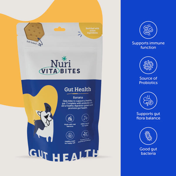 Nuri Vita Bites - Gut Health