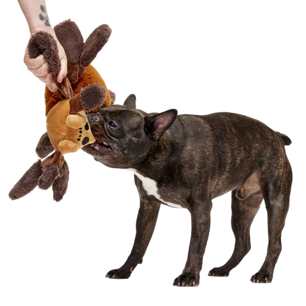 BARK - Aragog™ Plush Tug Extra-Large Dog Toy