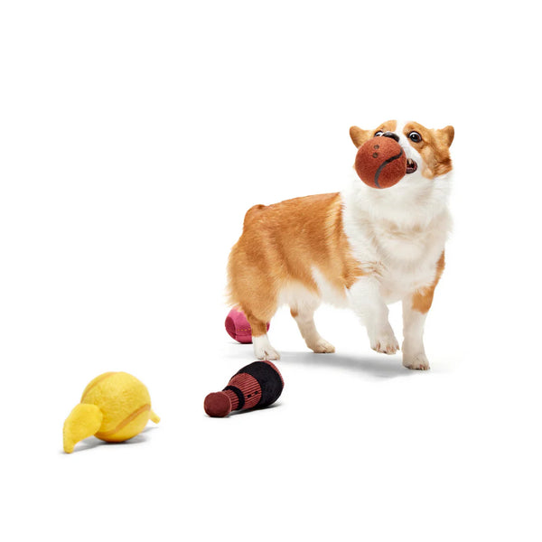 BARK - Quidditch™ Equipment Pack Plush Multi-Part + Fetch Dog Toy