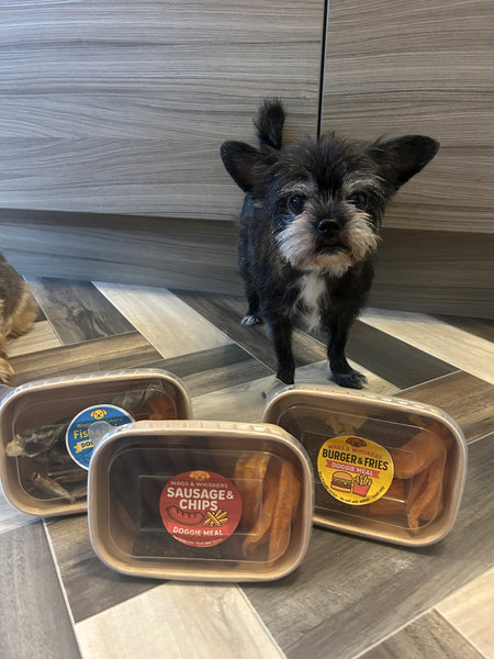Wags & Whiskers Burger & Fries Takeaway Doggie Meal