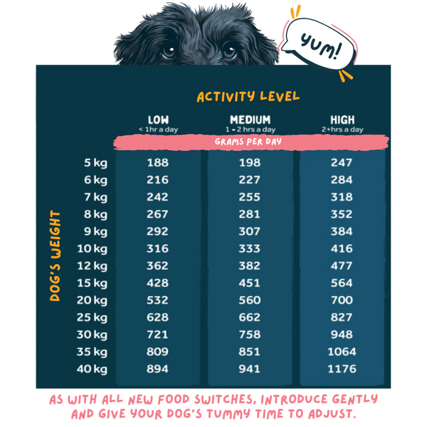 Wilsons Pet Food - Turkey Fresh Dog Food
