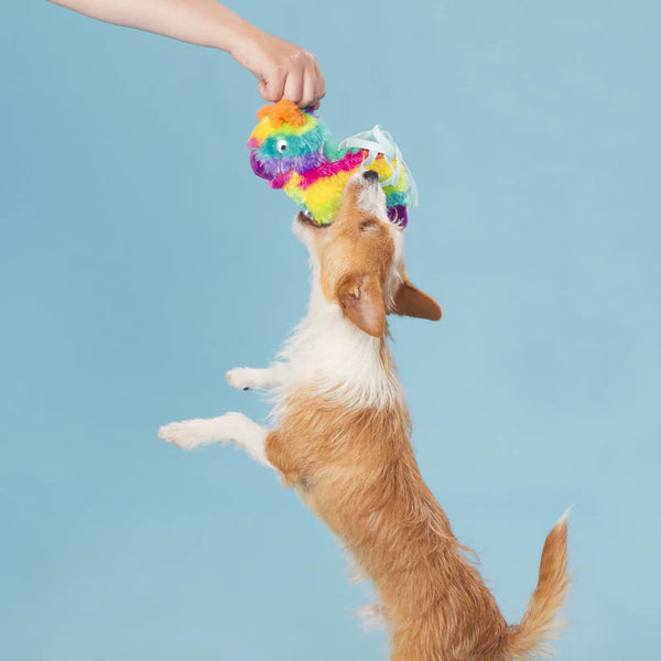 BARK Full o' Fluff Pinata Plush Tug Dog Toy