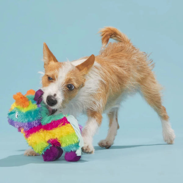 BARK Full o' Fluff Pinata Plush Tug Dog Toy