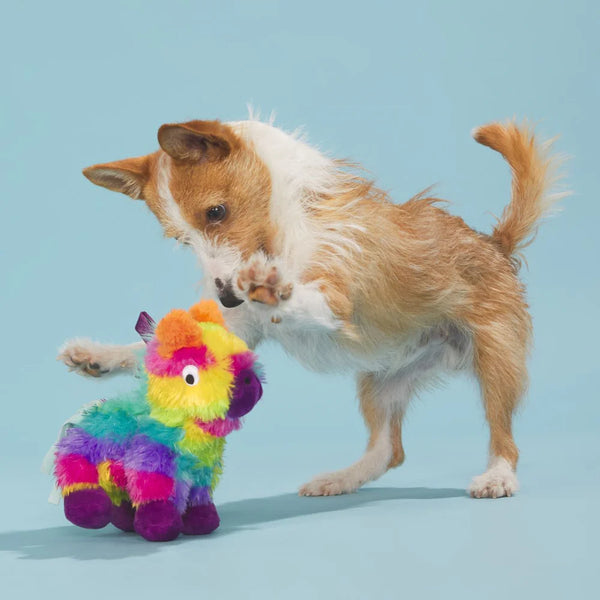 BARK Full o' Fluff Pinata Plush Tug Dog Toy