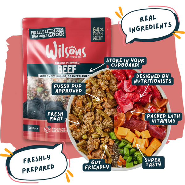 Wilsons Pet Food - Beef Fresh Dog Food