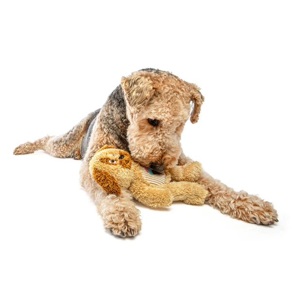 Guru Soft Scents - Vanilla Scented Dog Toy