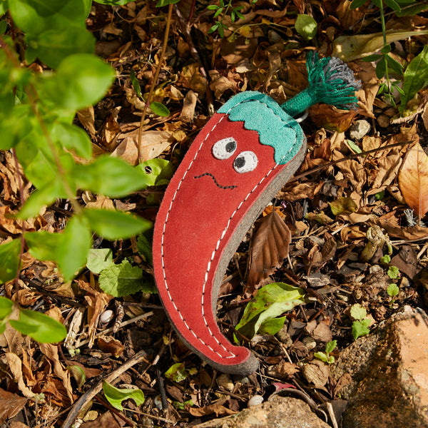 Green & Wilds Chad the Red Hot Chilli Pepper, Eco Toy
