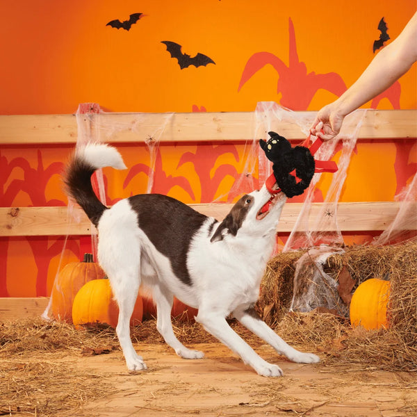 BARK Halloween Blake Widow Toy