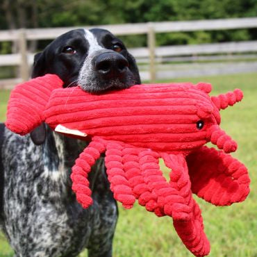Tall Tails Crunch Lobster Dog Toy