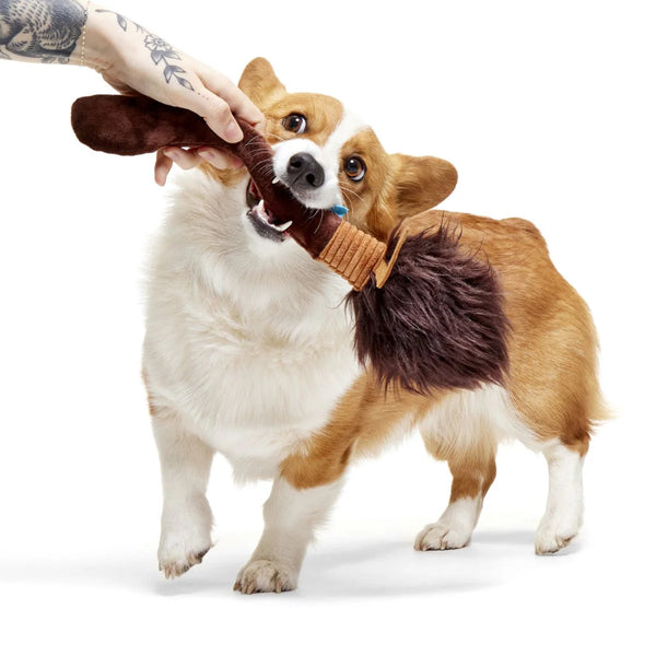 BARK - Nimbus 2000™ Broomstick Plush Fetch Dog Toy