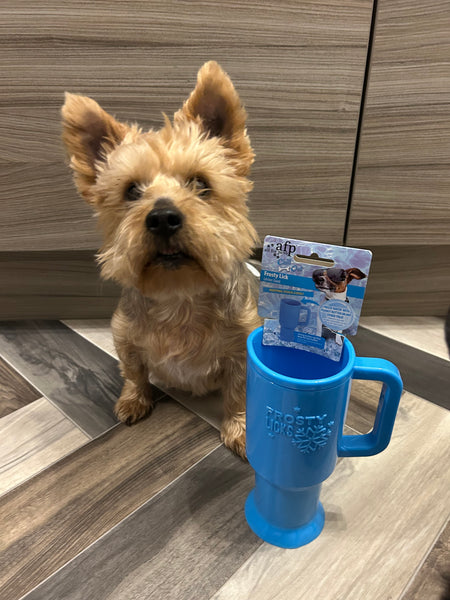 All for Paws Frosty Lick Cup