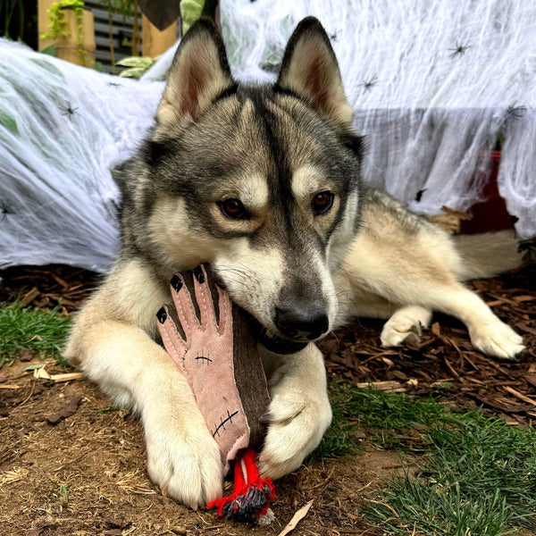 Green & Wilds The Hand Eco Toy