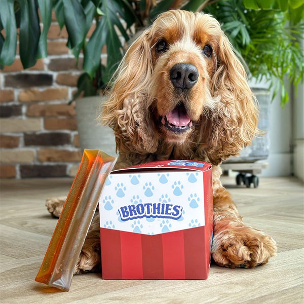 Brothies Mixed Berries Bone Broth Dog Chew