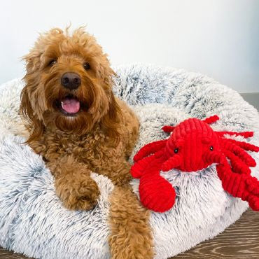 Tall Tails Crunch Lobster Dog Toy
