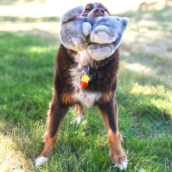 KONG Toughz Bunny Toy