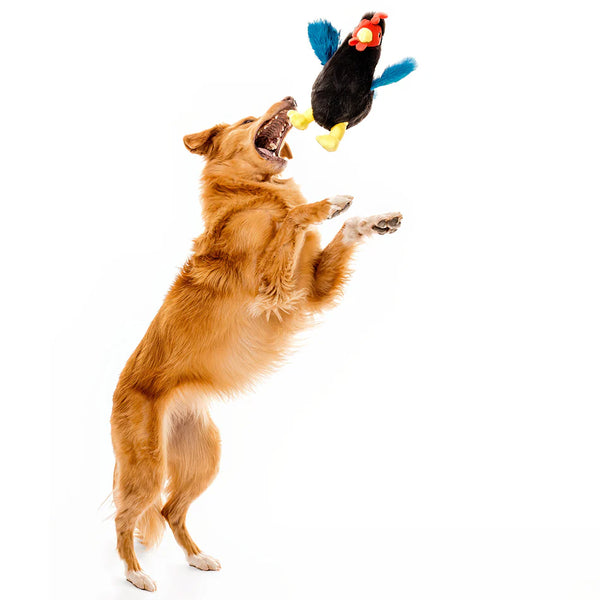 Playology Plush Chicken Toy - Chicken Scented