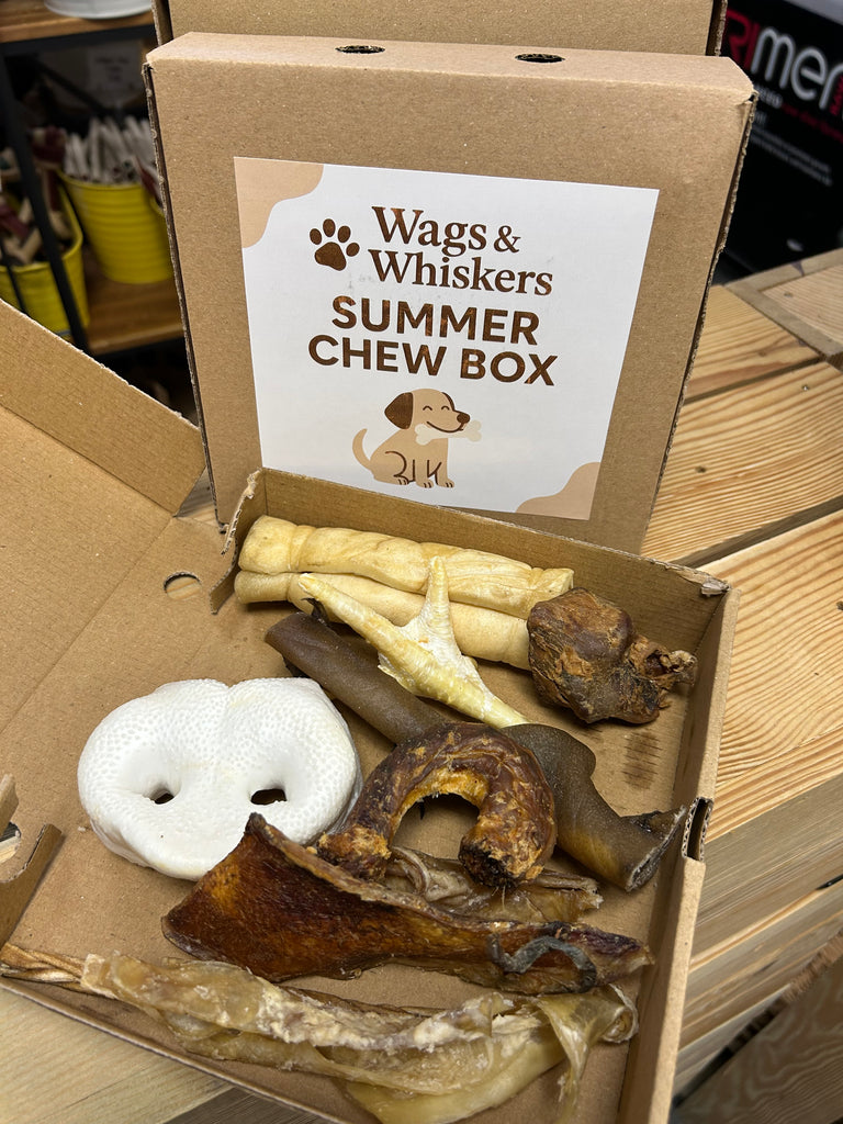 Wags & Whiskers Summer Chew Box