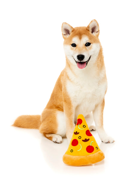 Fuzzyard Pizza Plush Dog Toy