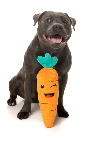 Fuzzyard Winky Carrot Plush Dog Toy