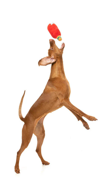 Fuzzyard Gin-Gle All the Way Dog Toy