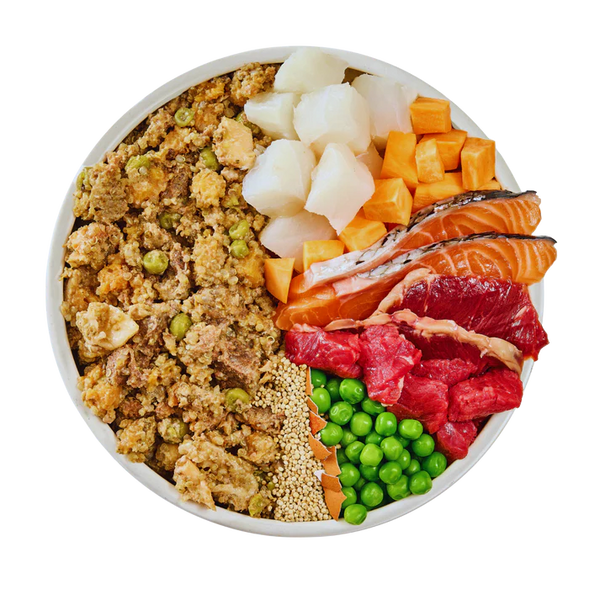 Wilsons Pet Food - Fish & Beef Fresh Dog Food