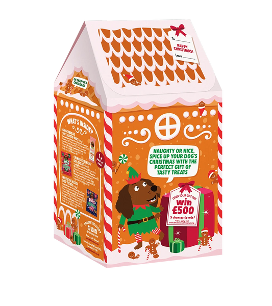 Denzel's Christmas Gingerbread House Dog Treats Gift Box
