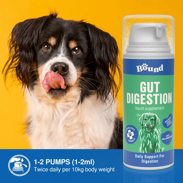 Bound Pets - Gut Digestion Daily Liquid Supplement