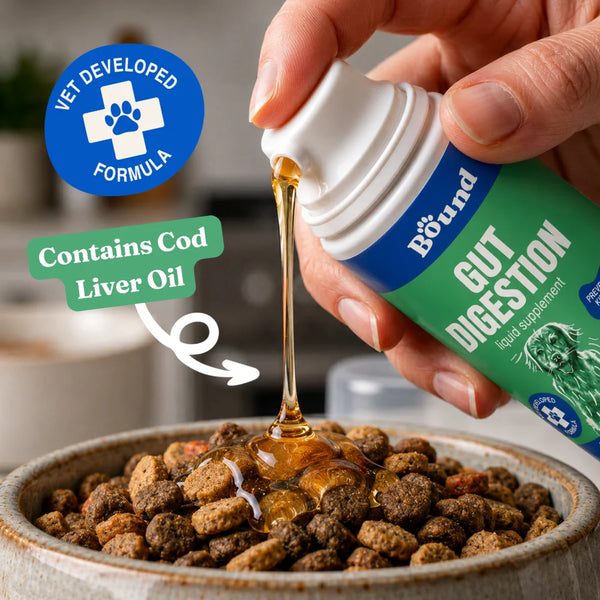 Bound Pets - Gut Digestion Daily Liquid Supplement