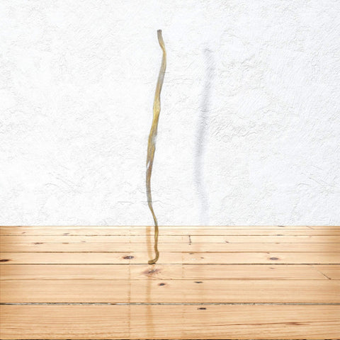 Nova Paddock Farm Ostrich Tendons - Single