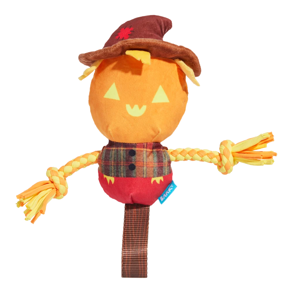 BARK Halloween Jack-Crow-Lantern Toy
