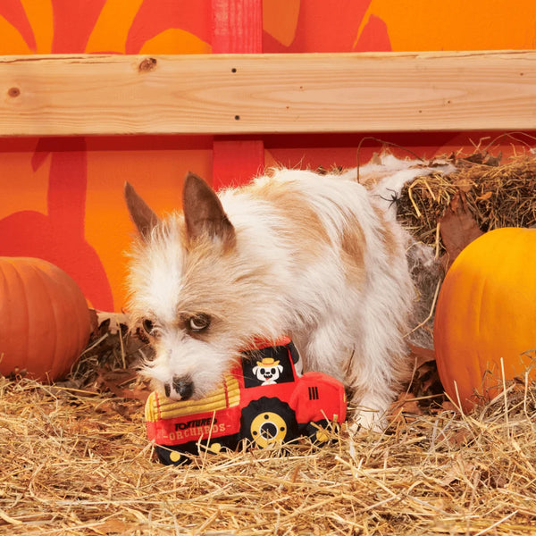 BARK Halloween Oldest McDonald Toy