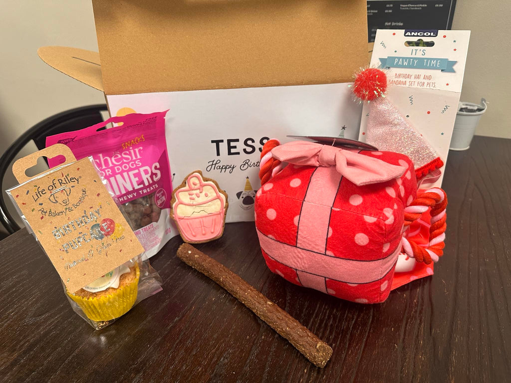 Birthday Chewy Box For Dogs Let's Pawty Birthday Box Dog Toy