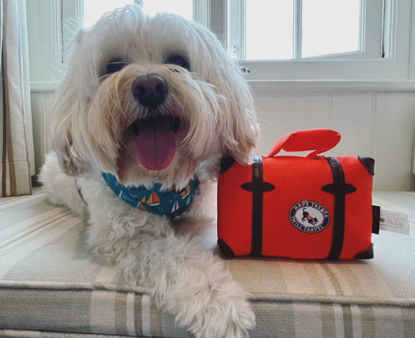 P.L.A.Y. Pack and Snack Suitcase Dog Toy