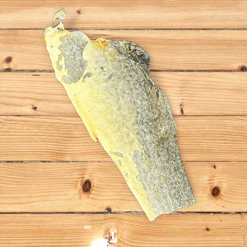 Fish Flattie