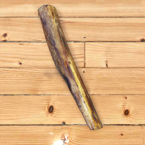 Ostrich Marrow Bone