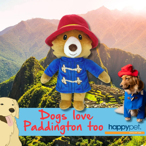 Happy Pet Paddington Bear Dog Toy