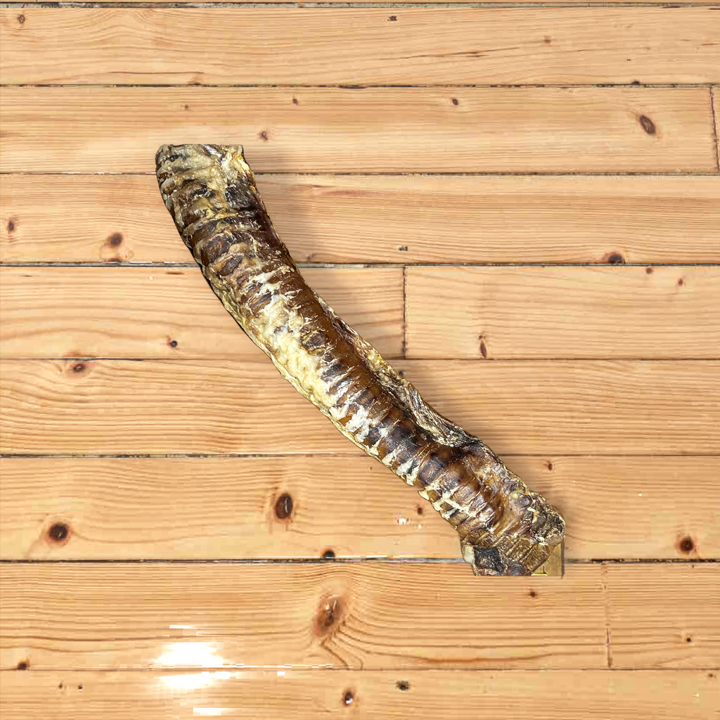 Air Dried Long Beef Trachea 25-40cm
