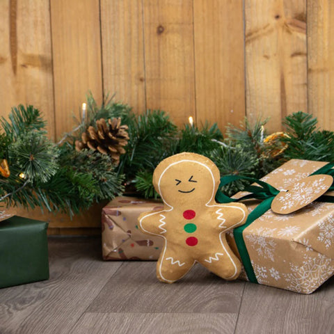 Ancol Georgia Gingerbread Dog Toy