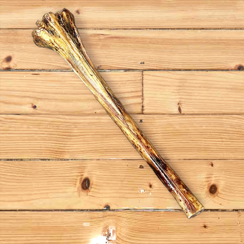 Anco Naturals Ostrich Metatarsus Bone