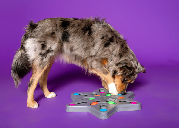 Multipet Pup Puzzle - Star Treat Toy