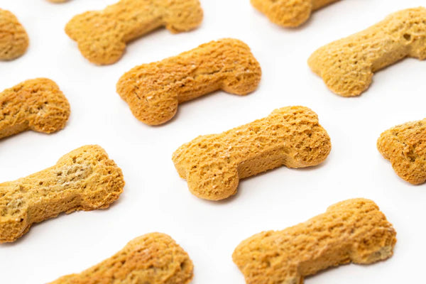 Life of Riley Bedtime Biccies Dog Treats
